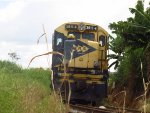 MRSL 3811